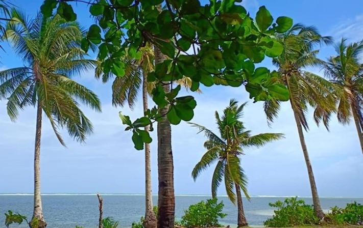 Sol Y Mar Beach Resort General Luna  Exterior photo